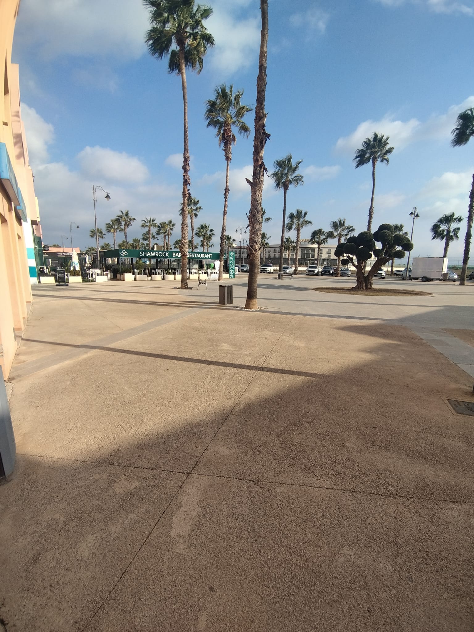 49847_WhatsApp Image 2025-02-20 at 16.45.46 (1).jpeg